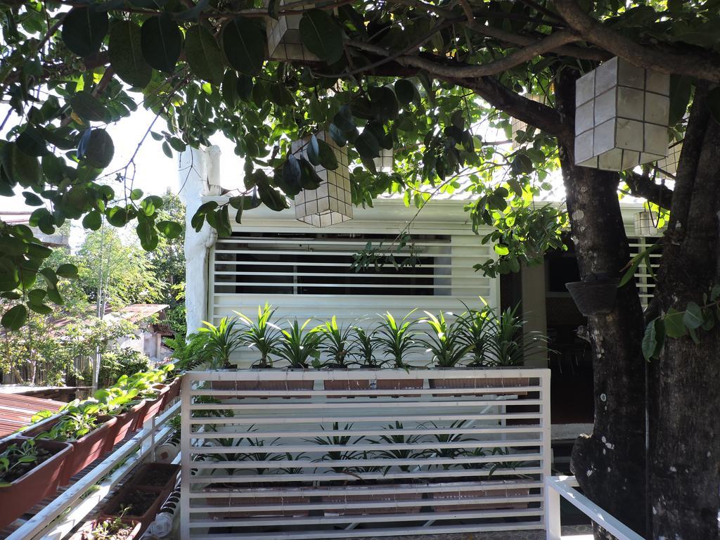 Orange Mangrove Pension House By Sms Hospitality Puerto Princesa Luaran gambar